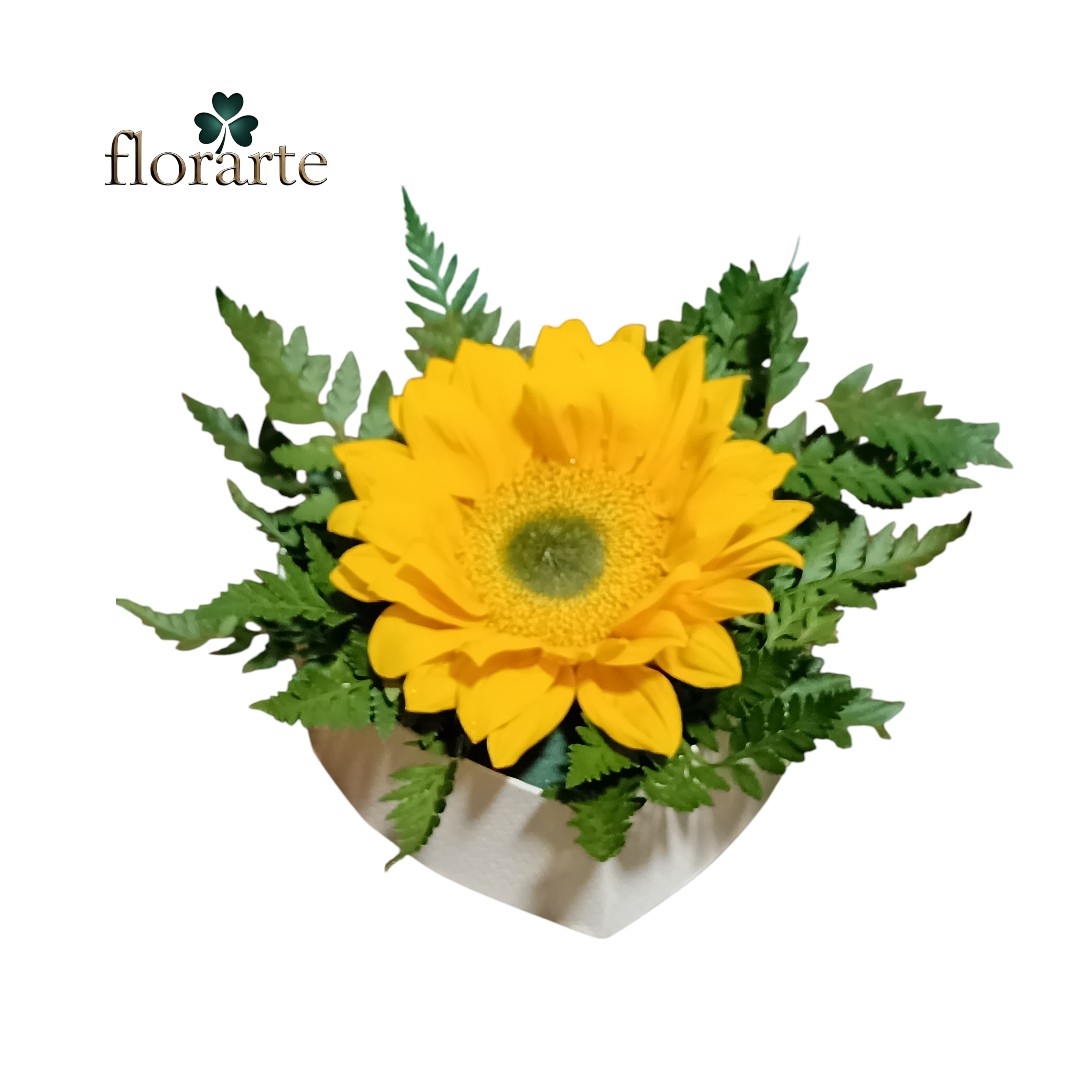 Box32 Box Corazón 1 Girasol - Imagen 1