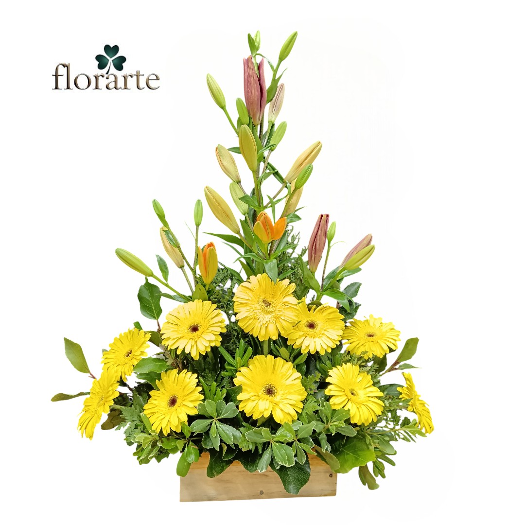 a Arreglo 10 Gerberas + 5 Lirios - Imagen 1