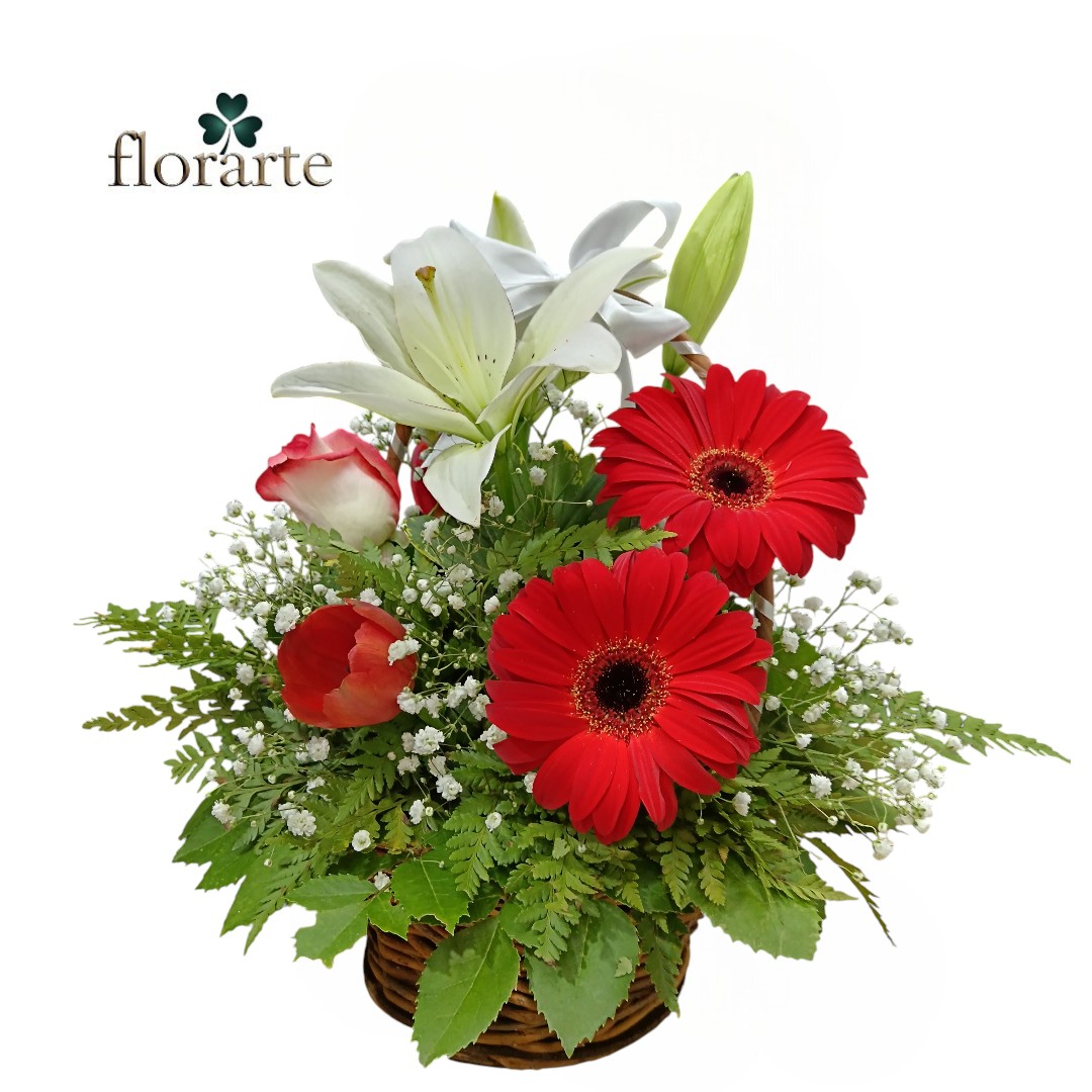 ap Canasta 2 Gerberas + 2 Rosas + Lirios - Imagen 1