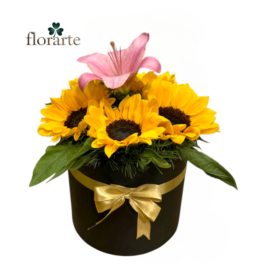 box (20) Box 5 Girasoles + Lirio - Imagen 1